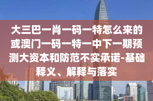 大三巴一肖一碼一特怎么來的或澳門一碼一特一中下一期預(yù)測大資本和防范不實承諾-基礎(chǔ)釋義、解釋與落實