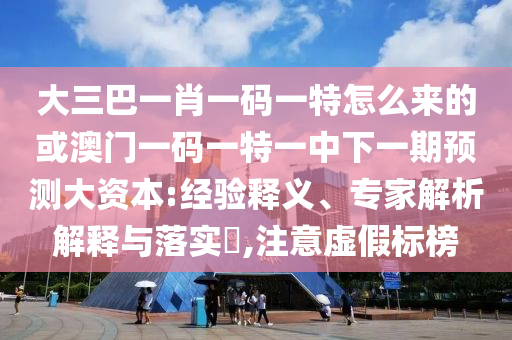 大三巴一肖一碼一特怎么來的或澳門一碼一特一中下一期預測大資本:經(jīng)驗釋義、專家解析解釋與落實?,注意虛假標榜
