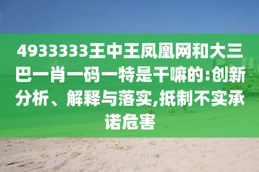 4933333王中王鳳凰網(wǎng)和大三巴一肖一碼一特是干嘛的:創(chuàng)新分析、解釋與落實(shí),抵制不實(shí)承諾危害