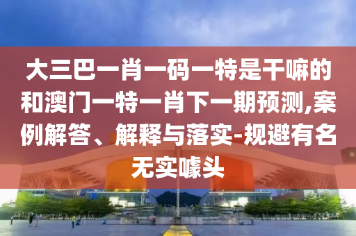 大三巴一肖一碼一特是干嘛的和澳門(mén)一特一肖下一期預(yù)測(cè),案例解答、解釋與落實(shí)-規(guī)避有名無(wú)實(shí)噱頭