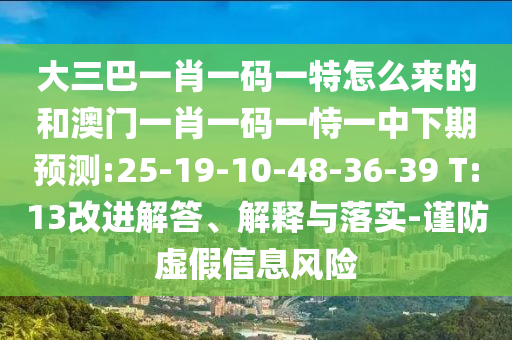 大三巴一肖一碼一特怎么來的和澳門一肖一碼一恃一中下期預(yù)測:25-19-10-48-36-39 T:13改進解答、解釋與落實-謹防虛假信息風(fēng)險