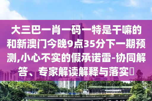 大三巴一肖一碼一特是干嘛的和新澳門今晚9點(diǎn)35分下一期預(yù)測(cè),小心不實(shí)的假承諾雷-協(xié)同解答、專家解讀解釋與落實(shí)?